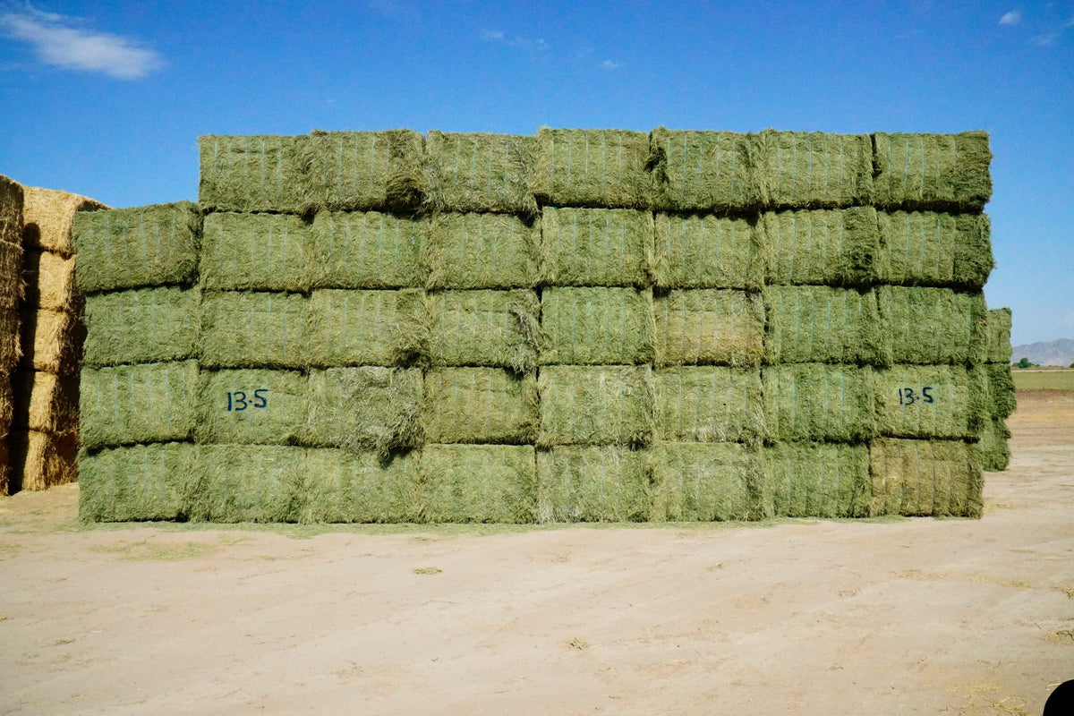 Martinez Farms Big Bale Alfalfa 13-5 Auction Good/Prem AZ Alfalfa Big Bales CP 20 RFV 158 TDN 59 FACS 90/110