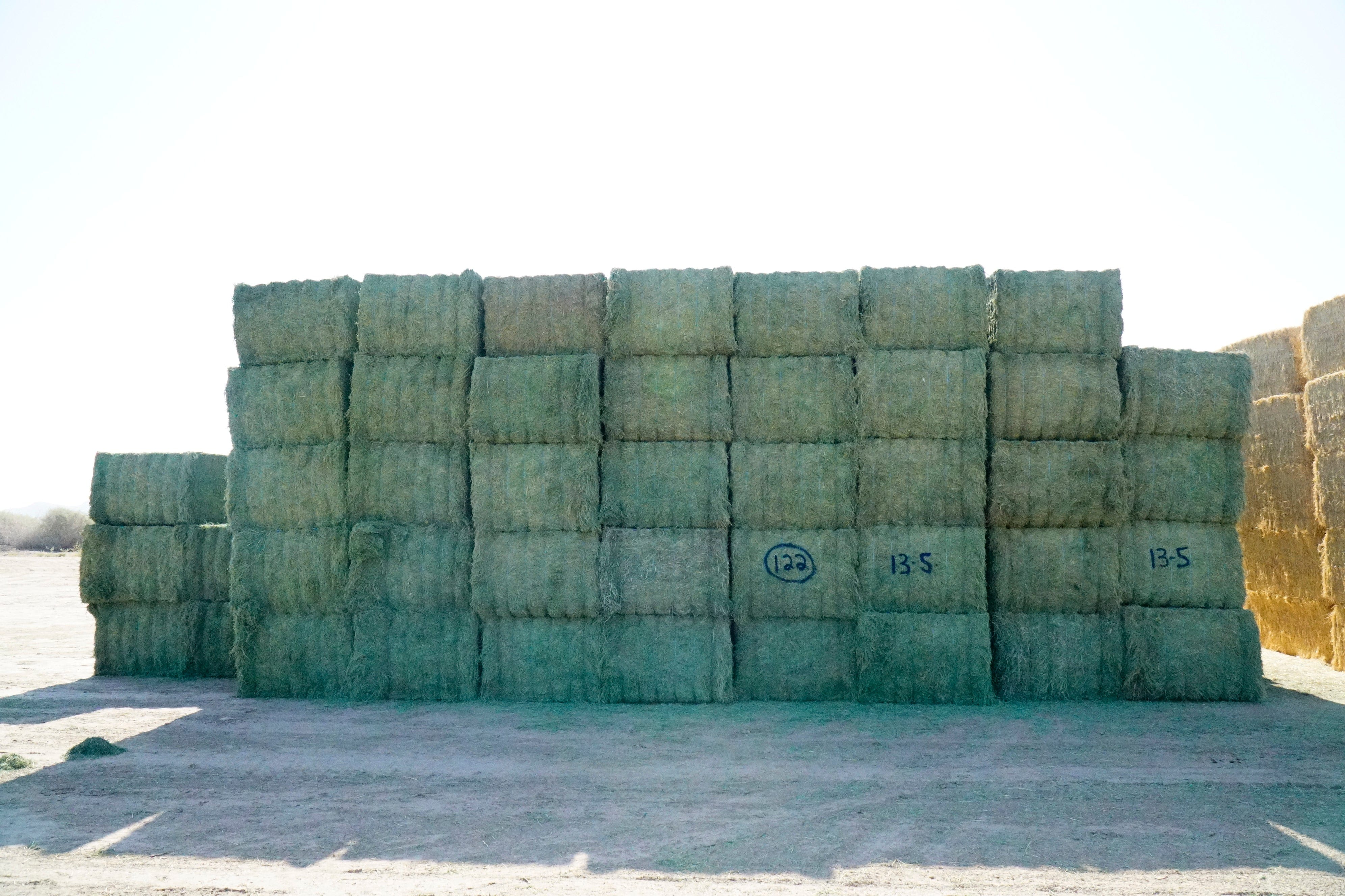 Martinez Farms Big Bale Alfalfa 13-5 Auction Good/Prem AZ Alfalfa Big Bales CP 20 RFV 158 TDN 59 FACS 90/110