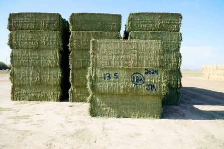 Martinez Farms Big Bale Alfalfa 13-5 Auction Good/Prem AZ Alfalfa Big Bales CP 20 RFV 158 TDN 59 FACS 90/110