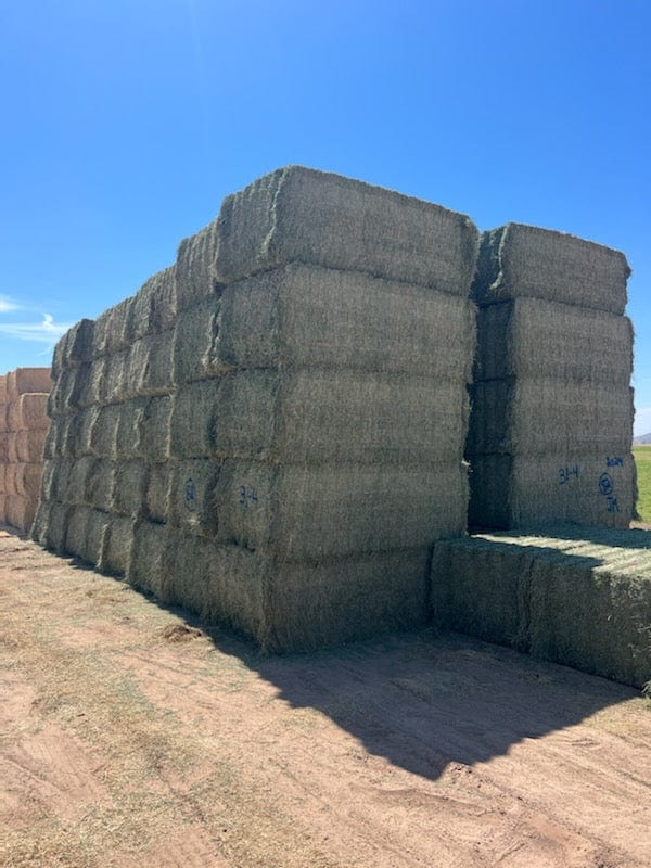 Martinez Farms Big Bale Alfalfa 18-4   Alfalfa Test Hay Big Bales