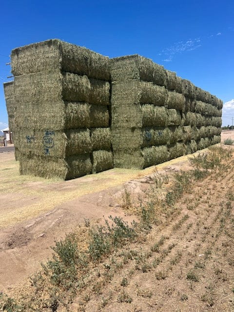 Martinez Farms Big Bale Alfalfa 18-4 Auction Premium AZ Alfalfa Test Hay Big Bales CP 20 RFV 172 TDN 60 FACS 105/110