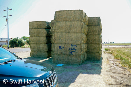 Martinez Farms Big Bale Alfalfa 18-4 Auction Premium AZ Alfalfa Test Hay Big Bales CP 20 RFV 172 TDN 60 FACS 105/110