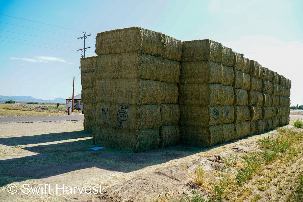 Martinez Farms Big Bale Alfalfa 18-4 Auction Premium AZ Alfalfa Test Hay Big Bales CP 20 RFV 172 TDN 60 FACS 105/110