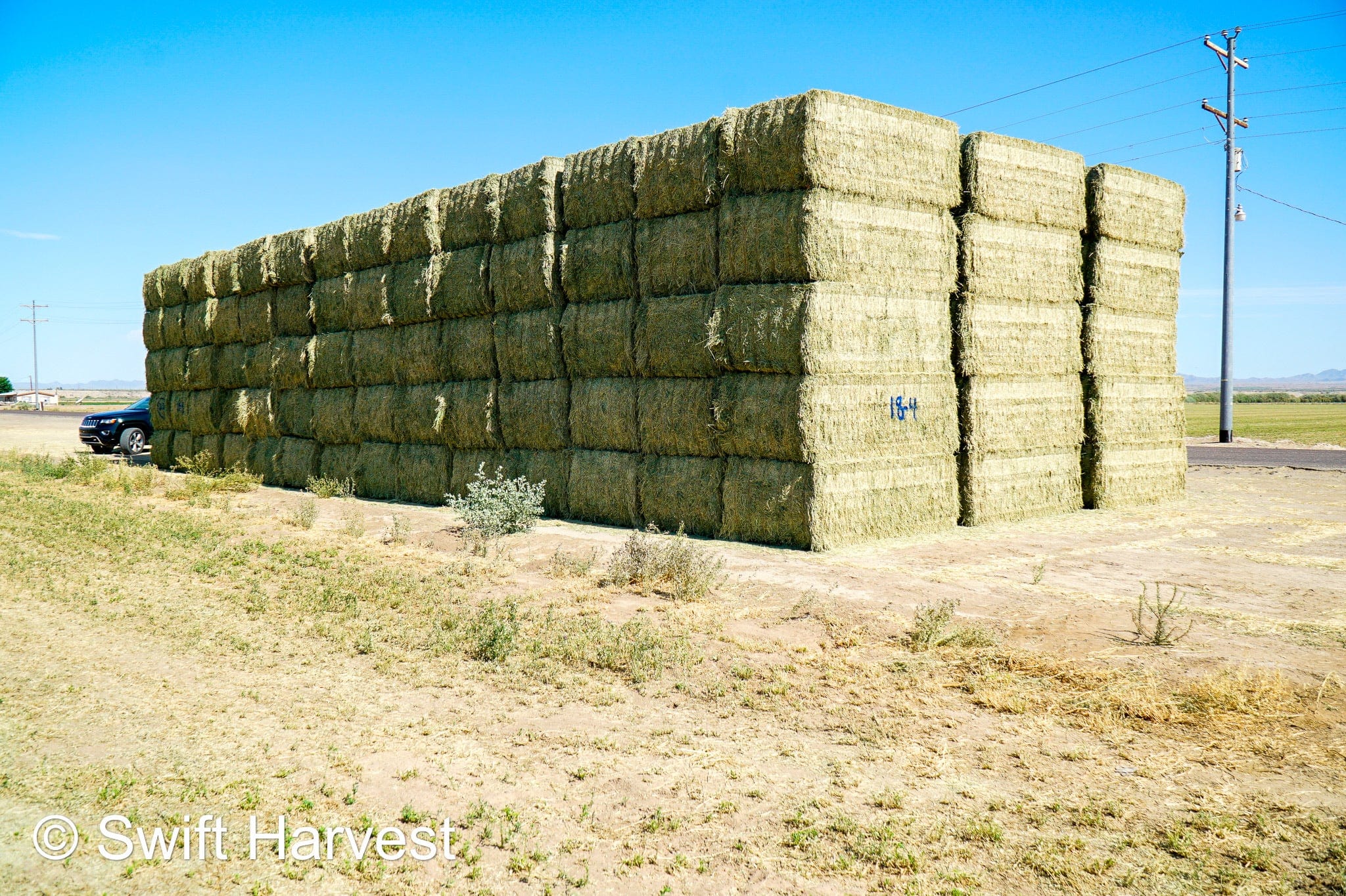 Martinez Farms Big Bale Alfalfa 18-4 Auction Premium AZ Alfalfa Test Hay Big Bales CP 20 RFV 172 TDN 60 FACS 105/110