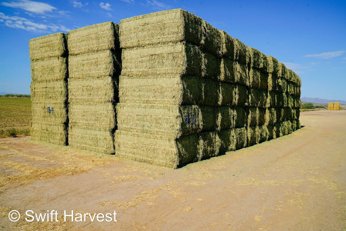 Martinez Farms Big Bale Alfalfa 18-4 Auction Premium AZ Alfalfa Test Hay Big Bales CP 20 RFV 172 TDN 60 FACS 105/110