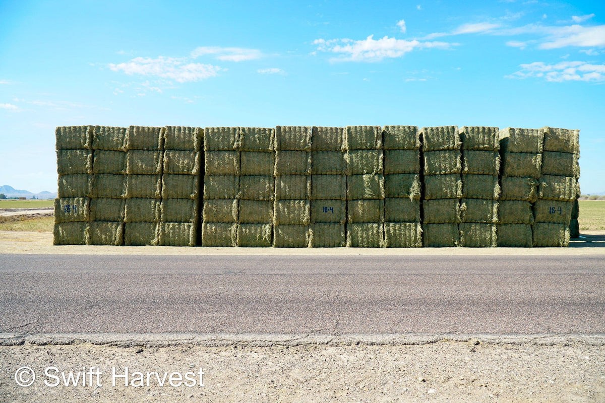 Martinez Farms Big Bale Alfalfa 18-4 Auction Premium AZ Alfalfa Test Hay Big Bales CP 20 RFV 172 TDN 60 FACS 105/110