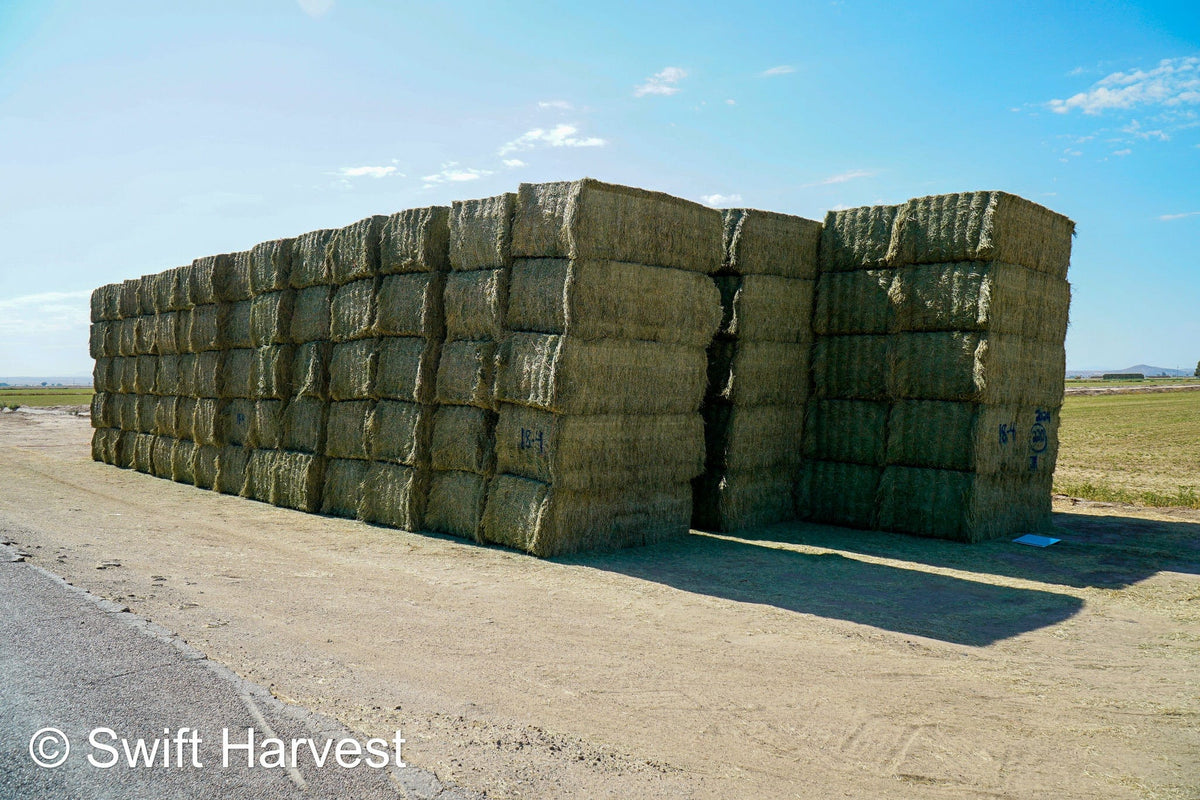 Martinez Farms Big Bale Alfalfa 18-4 Auction Premium AZ Alfalfa Test Hay Big Bales CP 20 RFV 172 TDN 60 FACS 105/110