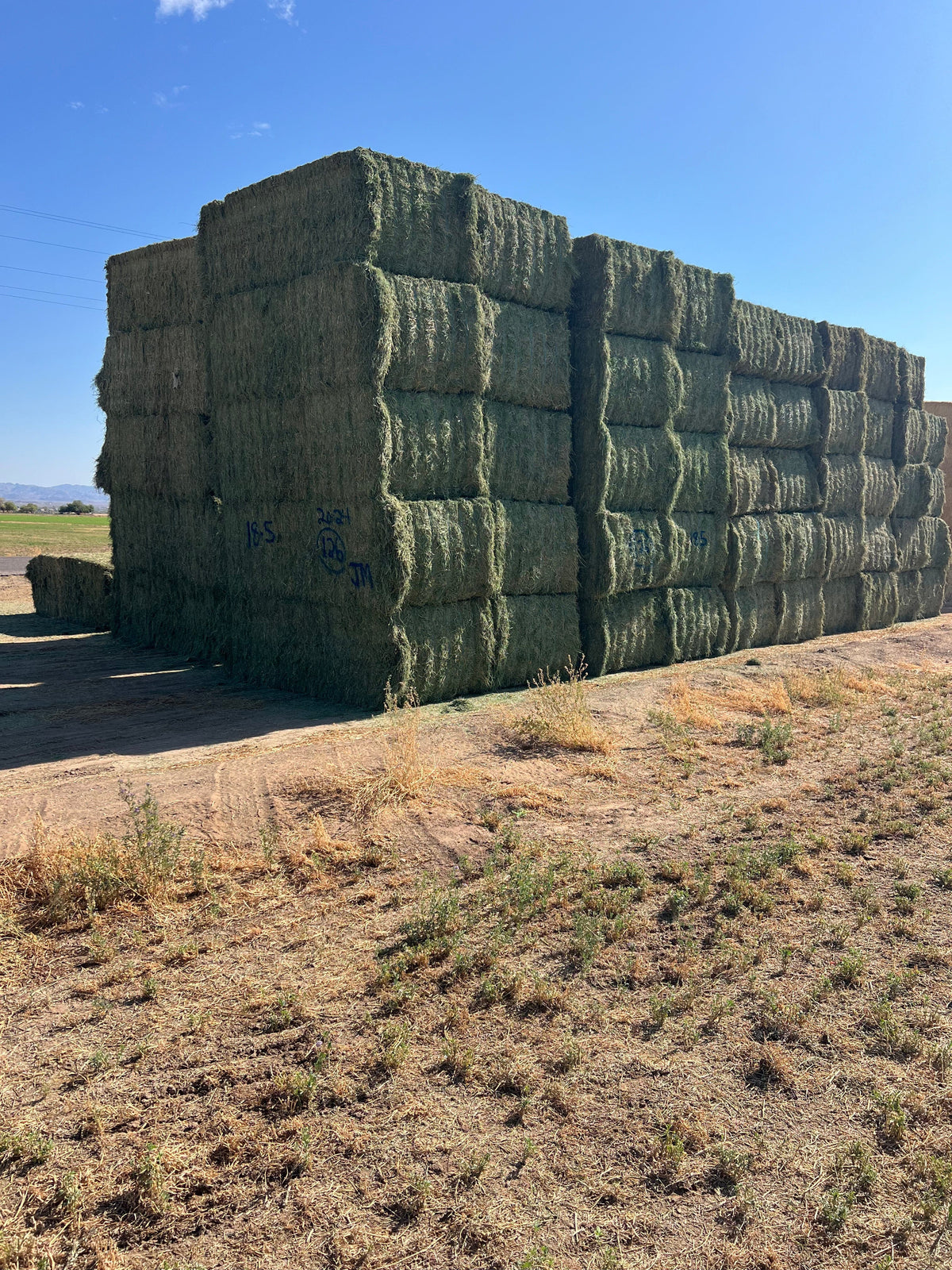 Martinez Farms Big Bale Alfalfa 18-5 AZ Alfalfa Big Bales