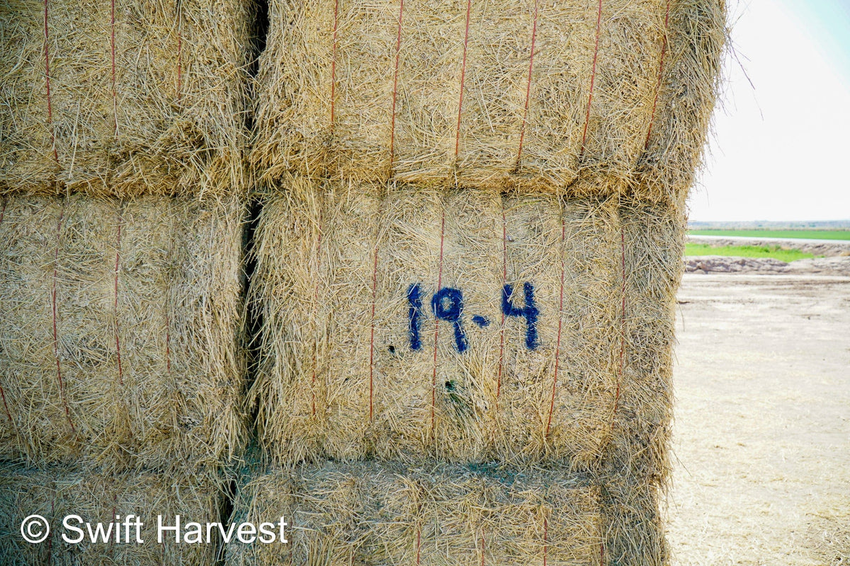 Martinez Farms Big Bale Alfalfa 19-4 Auction Good AZ Alfalfa Test Hay Big Bales CP 19 RFV 143 TDN 56 FACS 95/110