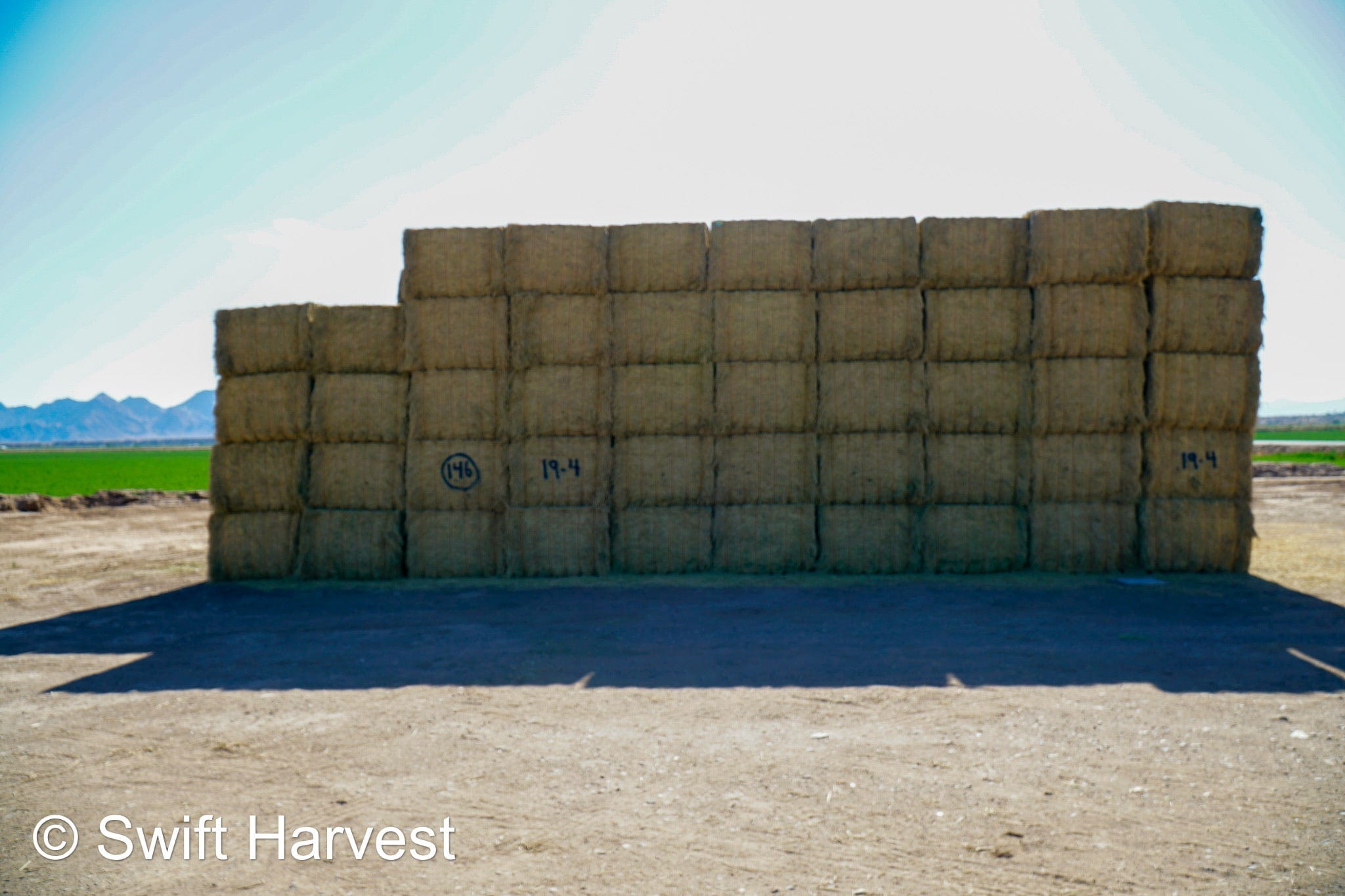 Martinez Farms Big Bale Alfalfa 19-4 Auction Good AZ Alfalfa Test Hay Big Bales CP 19 RFV 143 TDN 56 FACS 95/110