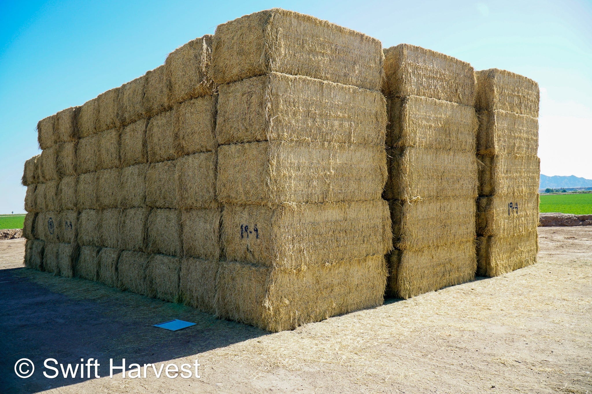 Martinez Farms Big Bale Alfalfa 19-4 Auction Good AZ Alfalfa Test Hay Big Bales CP 19 RFV 143 TDN 56 FACS 95/110