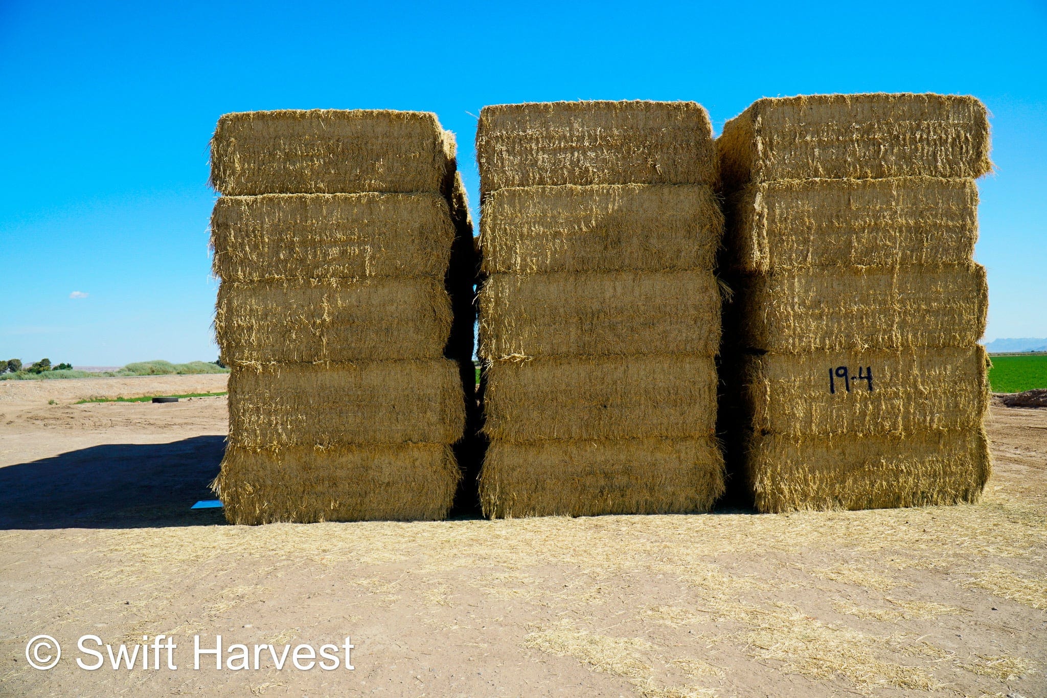 Martinez Farms Big Bale Alfalfa 19-4 Auction Good AZ Alfalfa Test Hay Big Bales CP 19 RFV 143 TDN 56 FACS 95/110