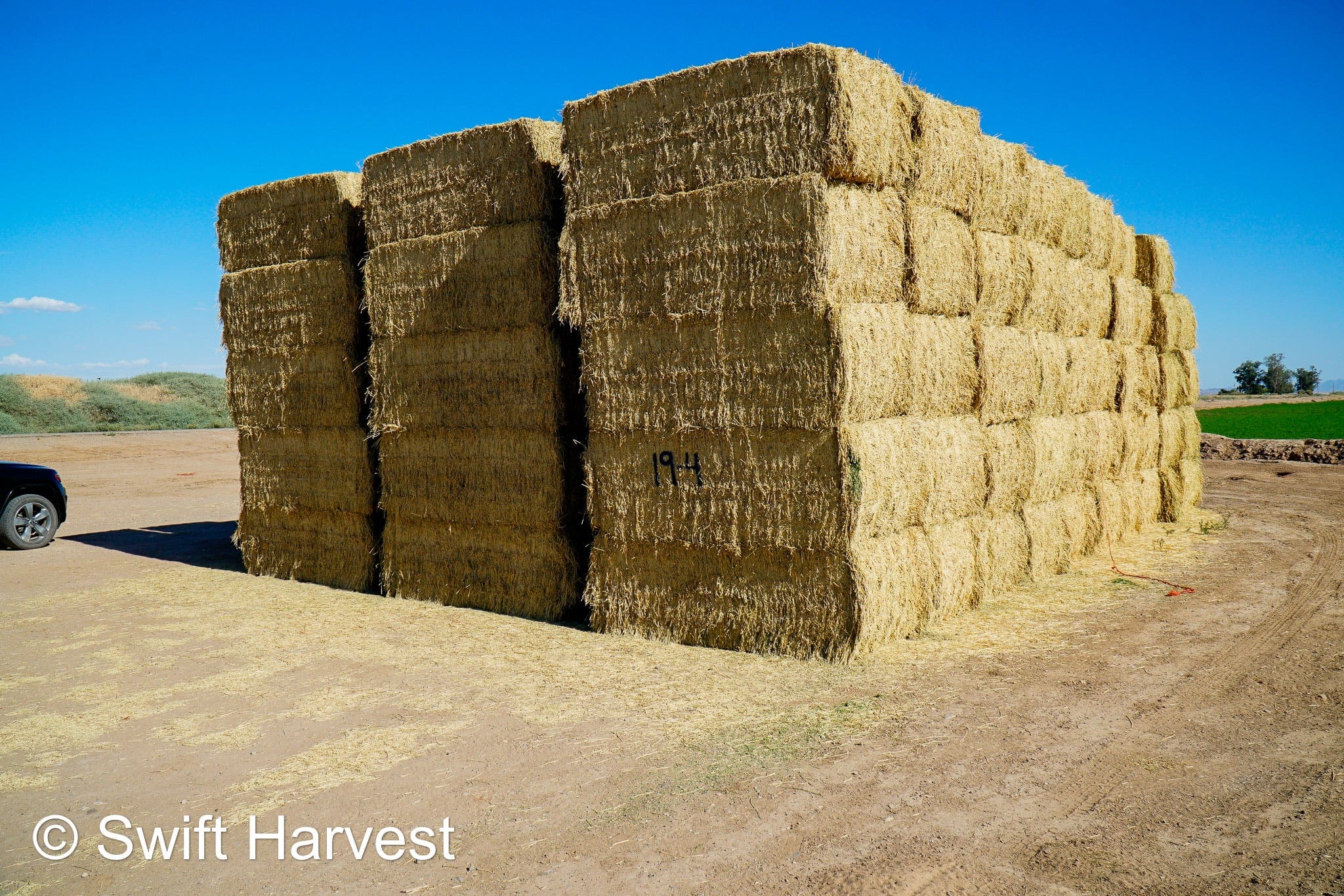 Martinez Farms Big Bale Alfalfa 19-4 Auction Good AZ Alfalfa Test Hay Big Bales CP 19 RFV 143 TDN 56 FACS 95/110