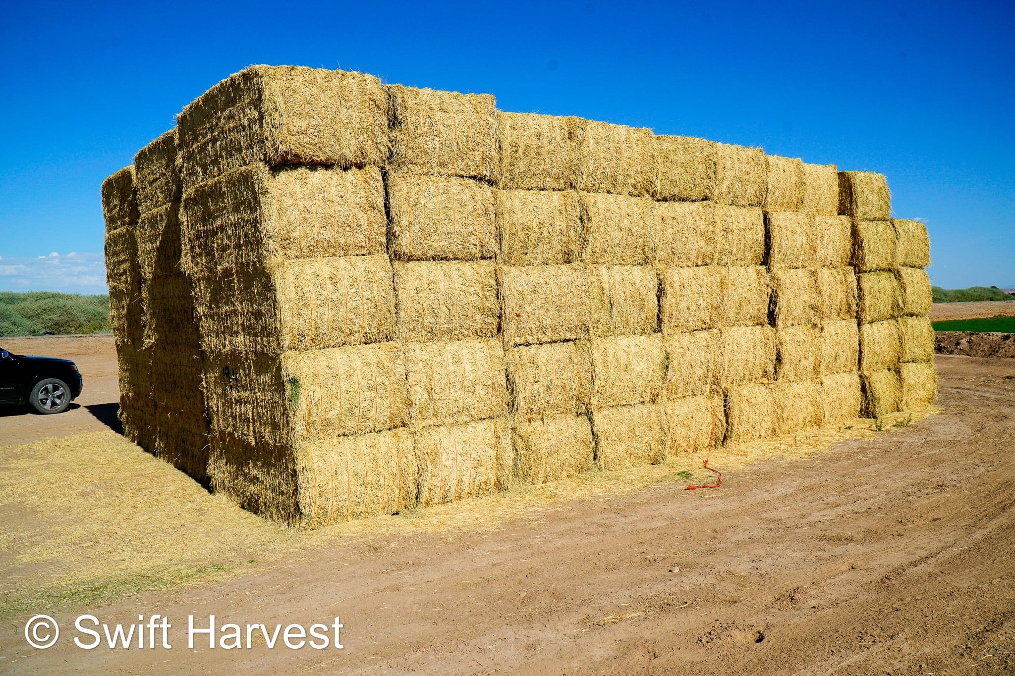 Martinez Farms Big Bale Alfalfa 19-4 Auction Good AZ Alfalfa Test Hay Big Bales CP 19 RFV 143 TDN 56 FACS 95/110