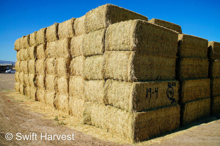 Martinez Farms Big Bale Alfalfa 19-4 Auction Good AZ Alfalfa Test Hay Big Bales CP 19 RFV 143 TDN 56 FACS 95/110