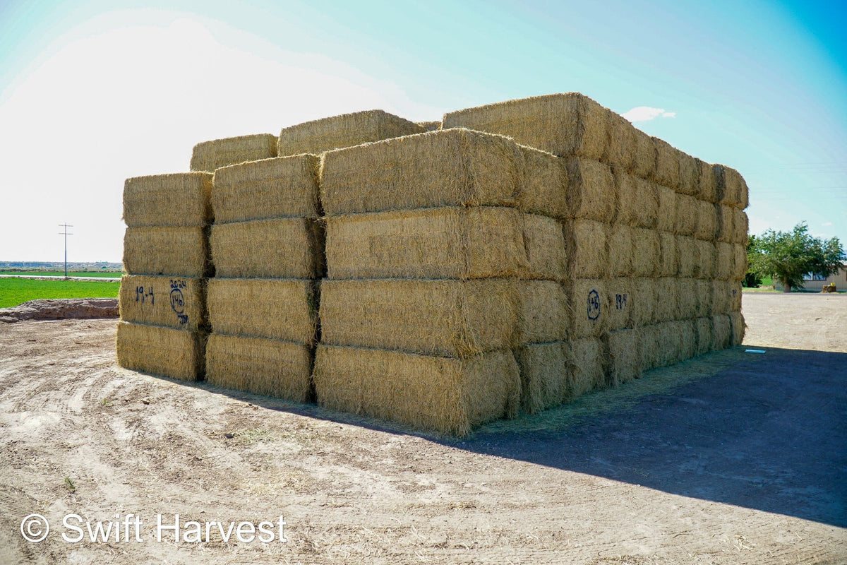 Martinez Farms Big Bale Alfalfa 19-4 Auction Good AZ Alfalfa Test Hay Big Bales CP 19 RFV 143 TDN 56 FACS 95/110