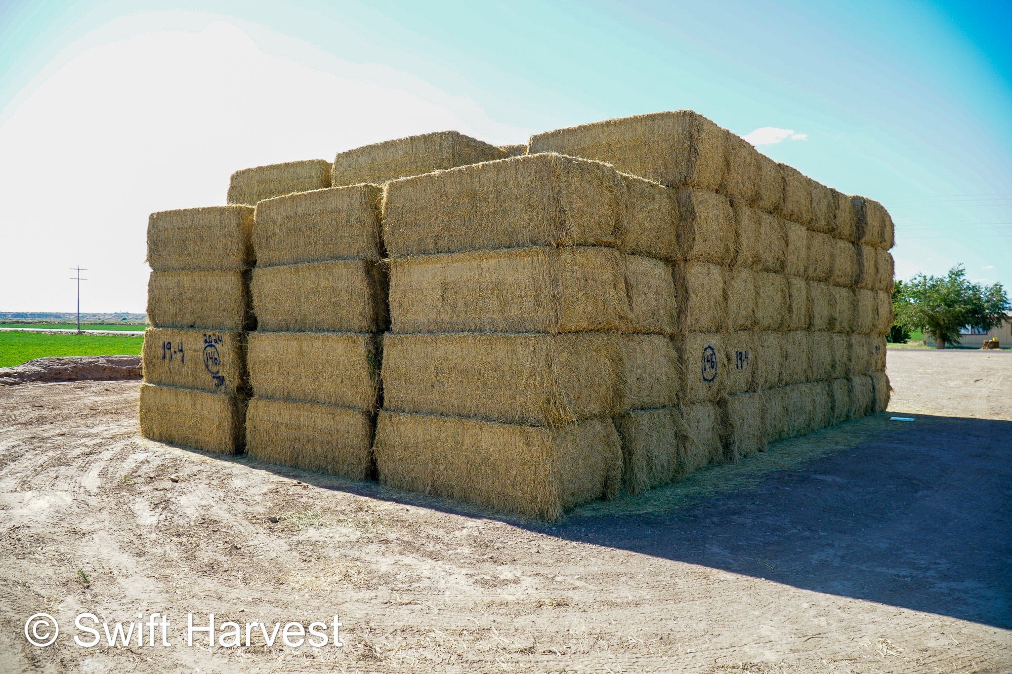 Martinez Farms Big Bale Alfalfa 19-4 Auction Good AZ Alfalfa Test Hay Big Bales CP 19 RFV 143 TDN 56 FACS 95/110