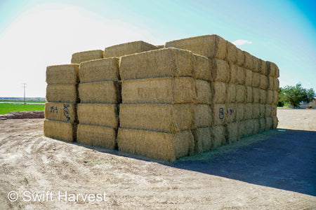 Martinez Farms Big Bale Alfalfa 19-4 Auction Good AZ Alfalfa Test Hay Big Bales CP 19 RFV 143 TDN 56 FACS 95/110