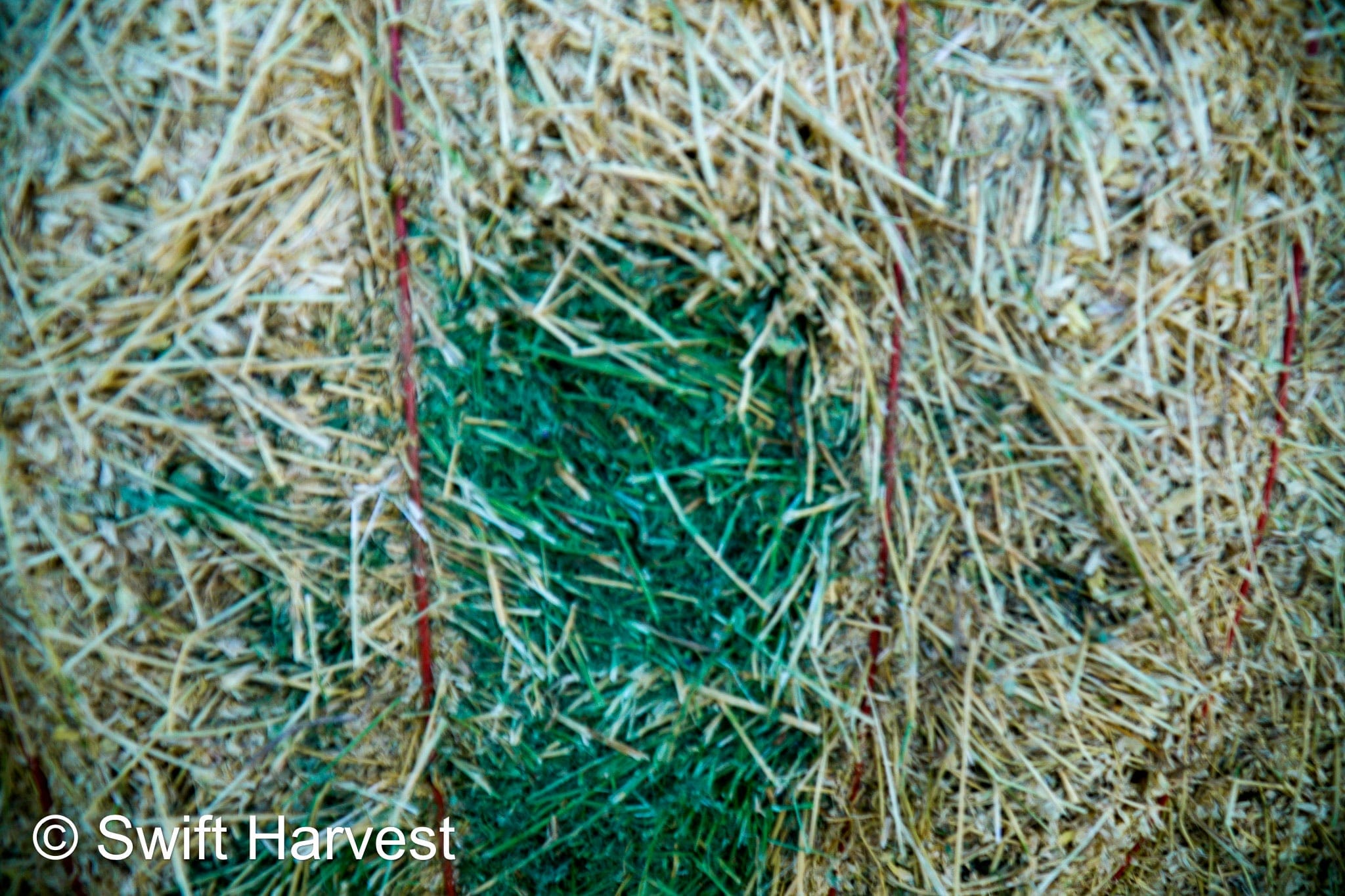 Martinez Farms Big Bale Alfalfa 19-4 Auction Good AZ Alfalfa Test Hay Big Bales CP 19 RFV 143 TDN 56 FACS 95/110