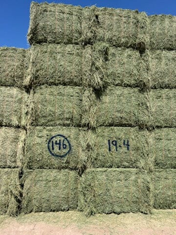 Martinez Farms Big Bale Alfalfa 19-4 Good AZ Alfalfa Test Hay Big Bales CP 19 RFV 143 TDN 56 FACS 95/110