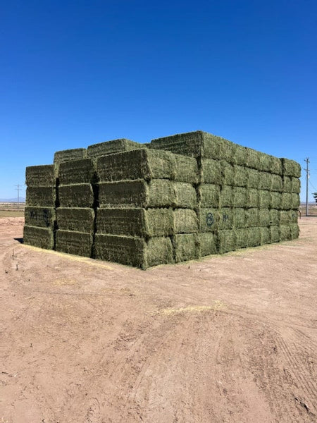 Martinez Farms Big Bale Alfalfa 19-4 Good AZ Alfalfa Test Hay Big Bales CP 19 RFV 143 TDN 56 FACS 95/110