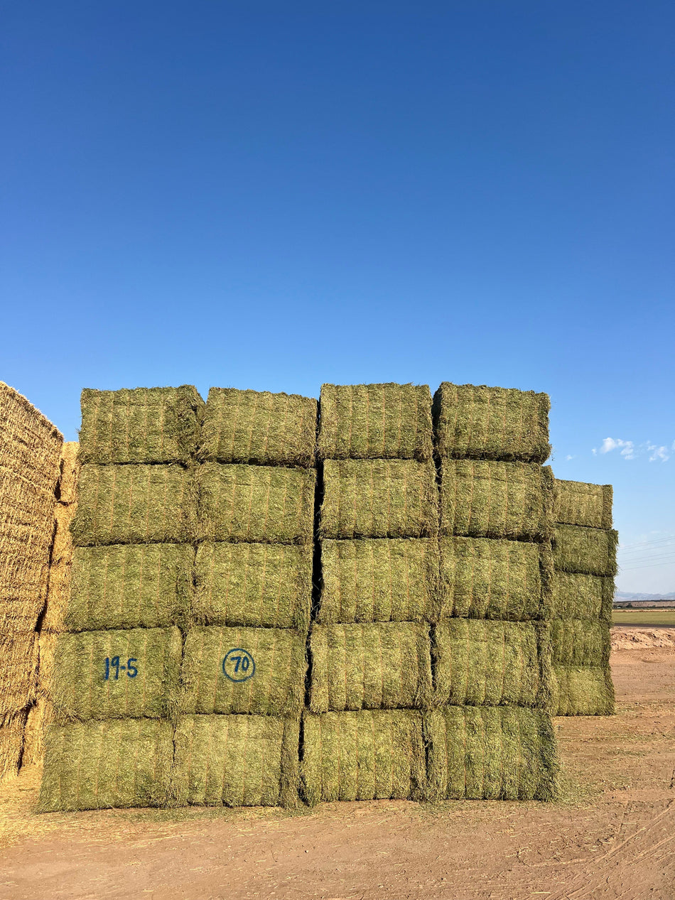 Martinez Farms Big Bale Alfalfa 19-5 Premium/Supreme AZ Big Bales Alfalfa CP 18 RFV 199 TDN 63 FACS 95/110