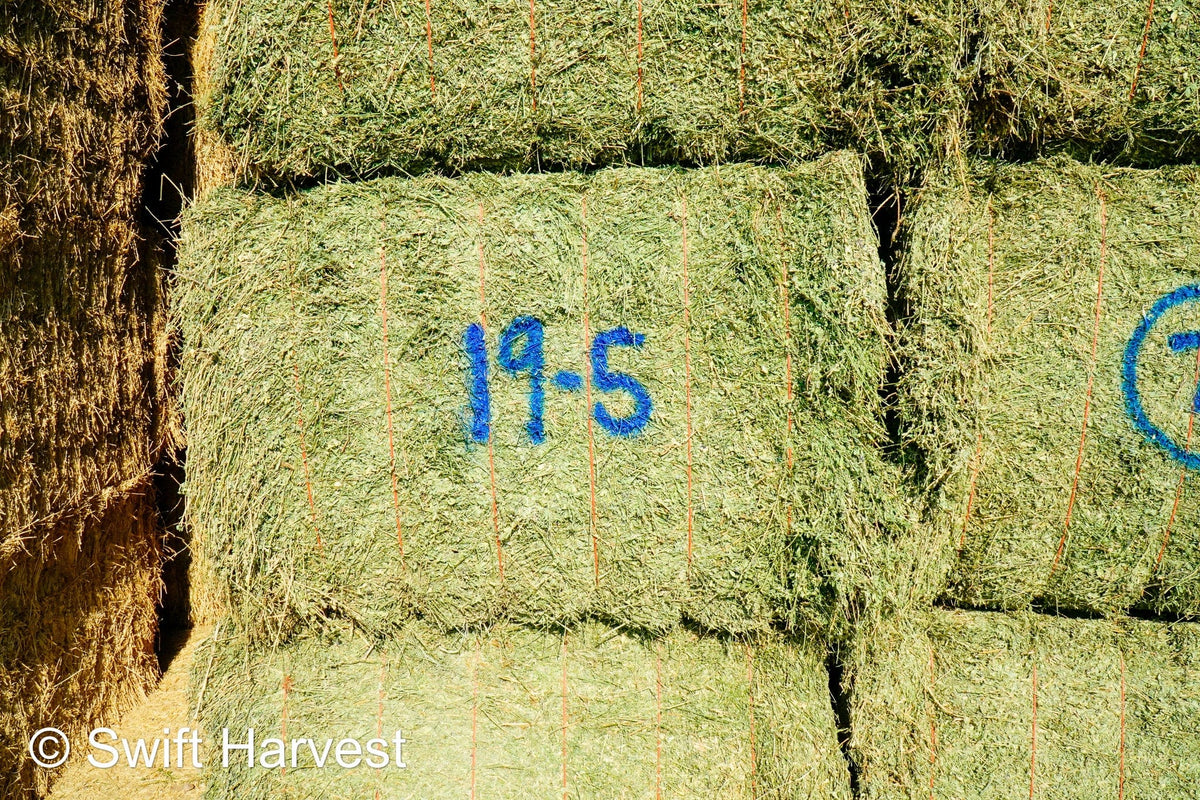 Martinez Farms Big Bale Alfalfa 19-5 Premium/Supreme AZ Big Bales Alfalfa CP 18 RFV 199 TDN 63 FACS 95/110