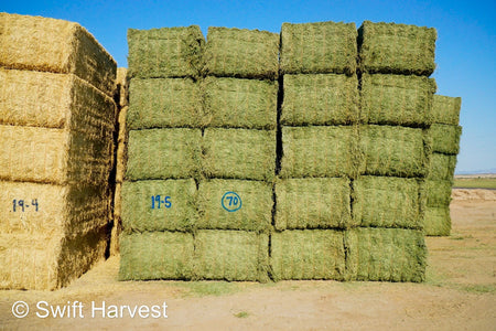 Martinez Farms Big Bale Alfalfa 19-5 Premium/Supreme AZ Big Bales Alfalfa CP 18 RFV 199 TDN 63 FACS 95/110