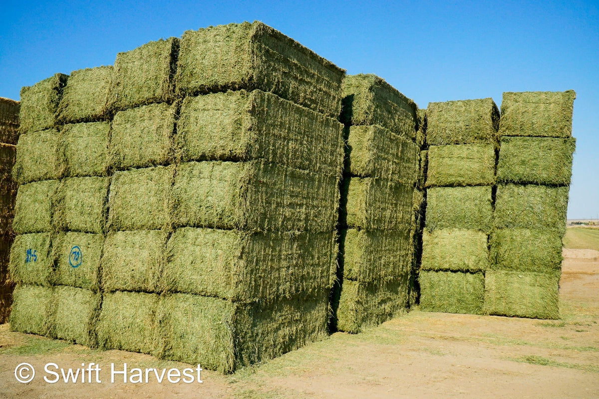 Martinez Farms Big Bale Alfalfa 19-5 Premium/Supreme AZ Big Bales Alfalfa CP 18 RFV 199 TDN 63 FACS 95/110