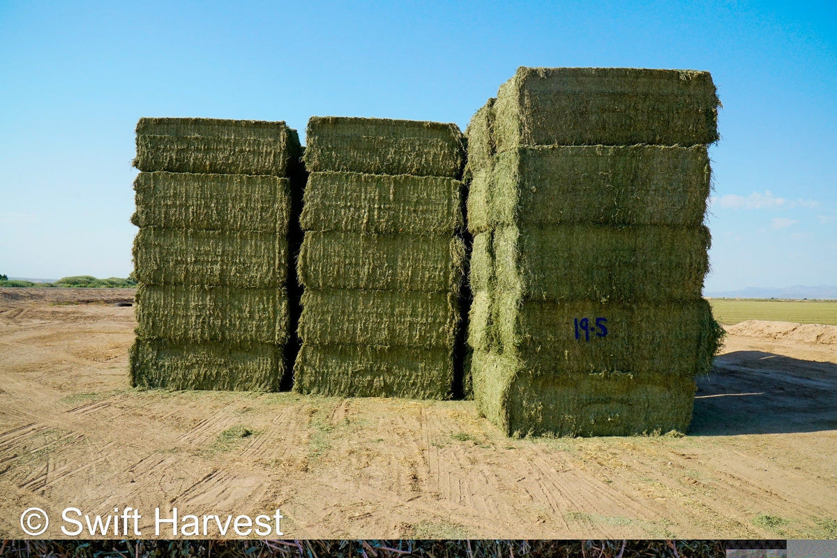 Martinez Farms Big Bale Alfalfa 19-5 Premium/Supreme AZ Big Bales Alfalfa CP 18 RFV 199 TDN 63 FACS 95/110