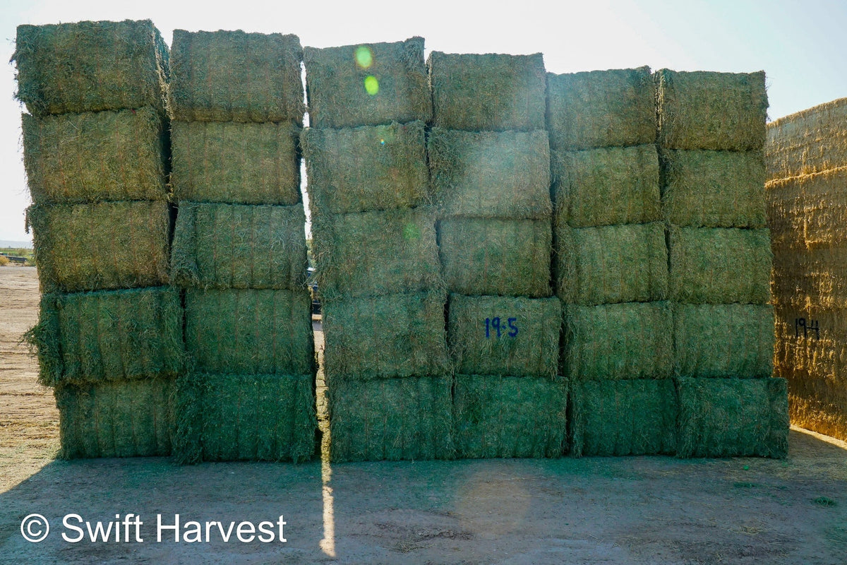 Martinez Farms Big Bale Alfalfa 19-5 Premium/Supreme AZ Big Bales Alfalfa CP 18 RFV 199 TDN 63 FACS 95/110