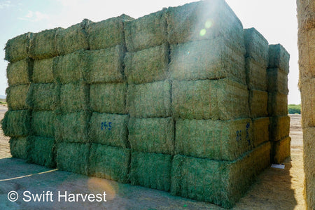 Martinez Farms Big Bale Alfalfa 19-5 Premium/Supreme AZ Big Bales Alfalfa CP 18 RFV 199 TDN 63 FACS 95/110