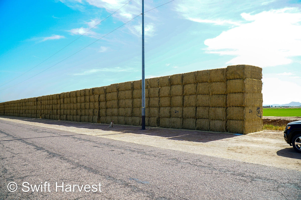 Martinez Farms Big Bale Alfalfa 27-4 Auction Fair/Good Alfalfa Test Hay Big Bales CP 20 RFV 148 TDN 55 FACS 93/110