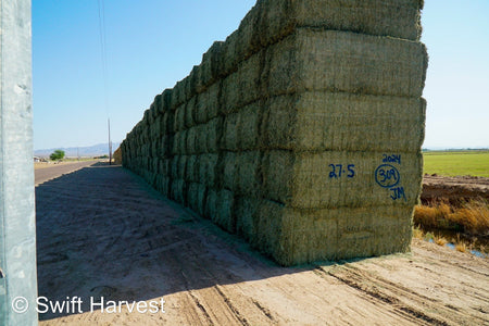 Martinez Farms Big Bale Alfalfa 27-5 Auction AZ Fair/Good  AZ Alfalfa Big Bales CP 20 RFV 144 TDN 57 FACS 98/110