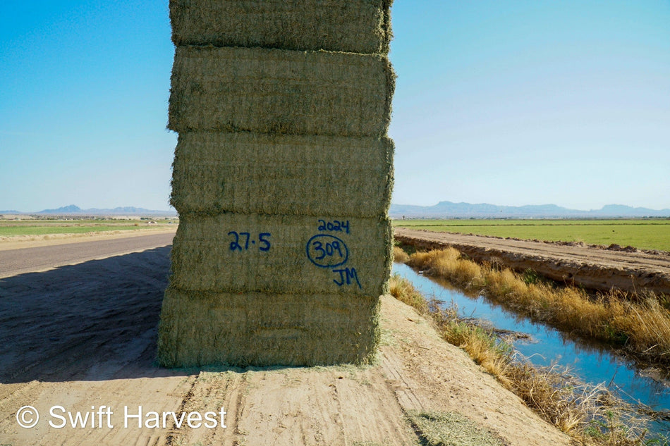 Martinez Farms Big Bale Alfalfa 27-5 Auction AZ Fair/Good  AZ Alfalfa Big Bales CP 20 RFV 144 TDN 57 FACS 98/110