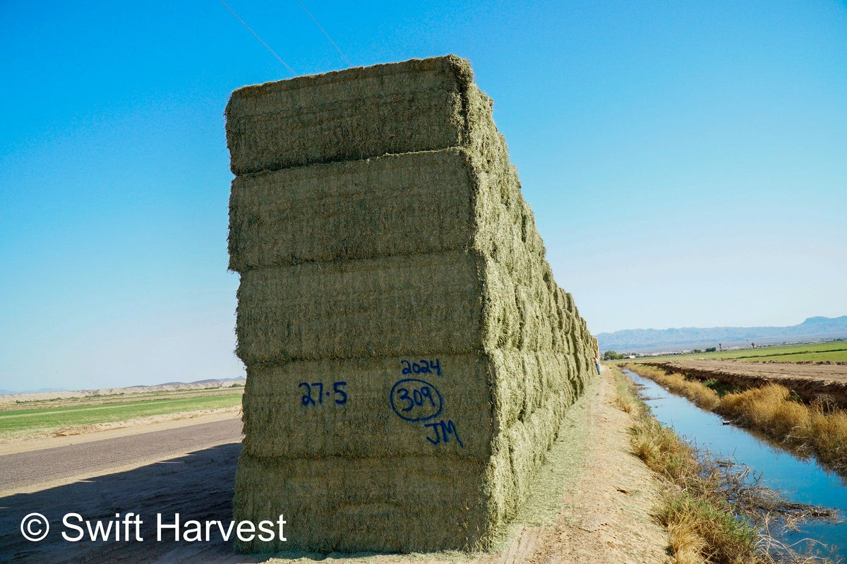 Martinez Farms Big Bale Alfalfa 27-5 Auction AZ Fair/Good  AZ Alfalfa Big Bales CP 20 RFV 144 TDN 57 FACS 98/110