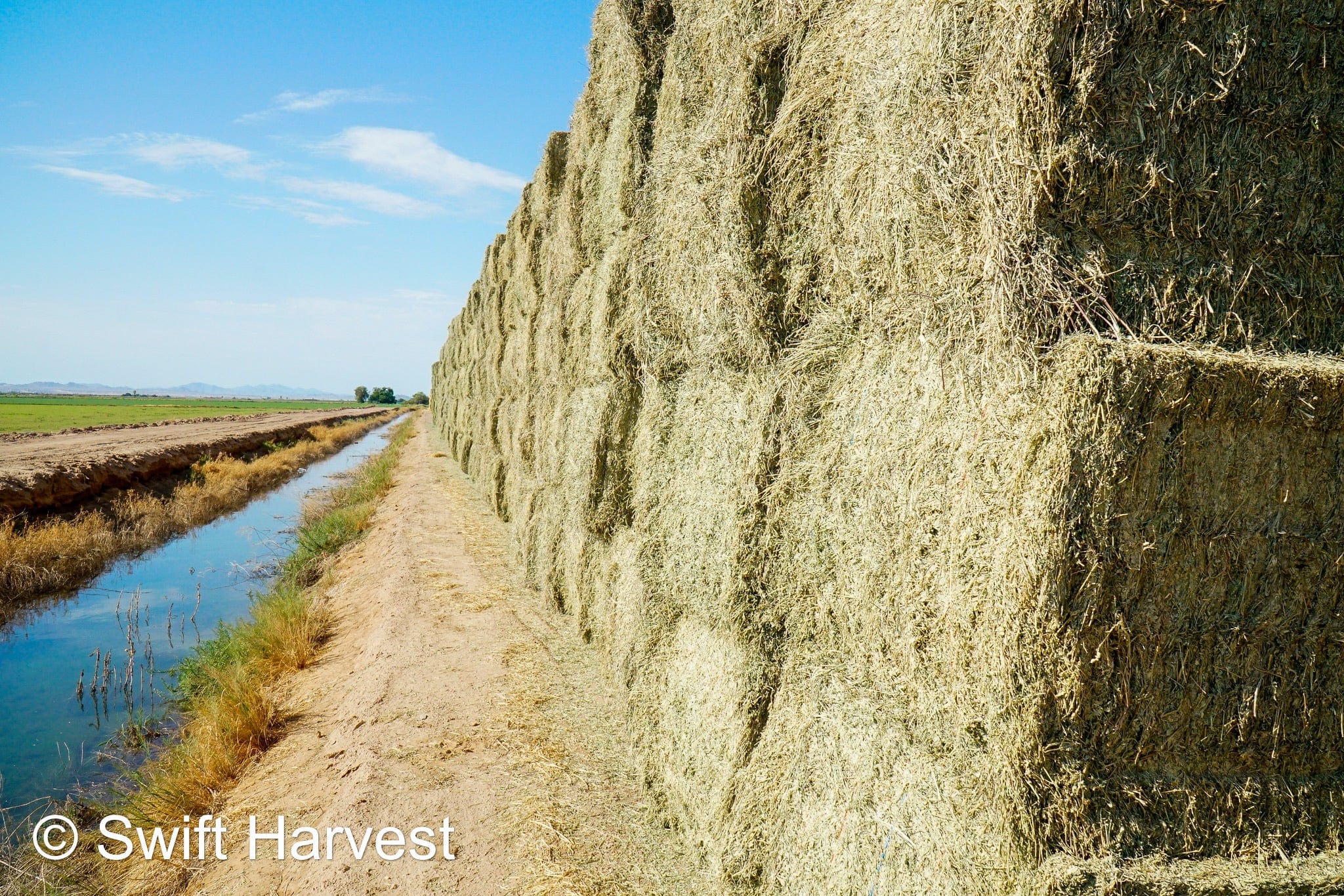 Martinez Farms Big Bale Alfalfa 27-5 Auction AZ Fair/Good  AZ Alfalfa Big Bales CP 20 RFV 144 TDN 57 FACS 98/110