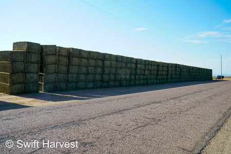 Martinez Farms Big Bale Alfalfa 27-5 Auction AZ Fair/Good  AZ Alfalfa Big Bales CP 20 RFV 144 TDN 57 FACS 98/110