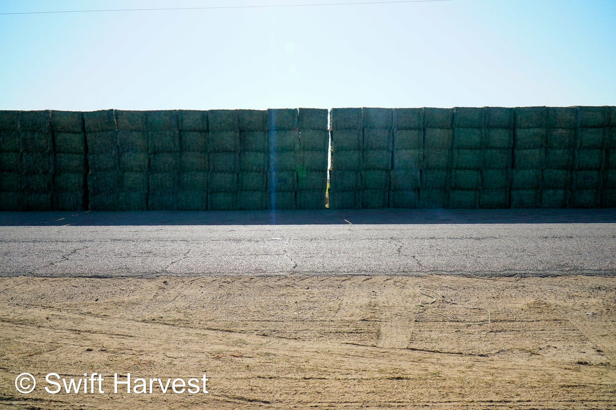 Martinez Farms Big Bale Alfalfa 27-5 Auction AZ Fair/Good  AZ Alfalfa Big Bales CP 20 RFV 144 TDN 57 FACS 98/110