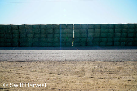 Martinez Farms Big Bale Alfalfa 27-5 Auction AZ Fair/Good  AZ Alfalfa Big Bales CP 20 RFV 144 TDN 57 FACS 98/110