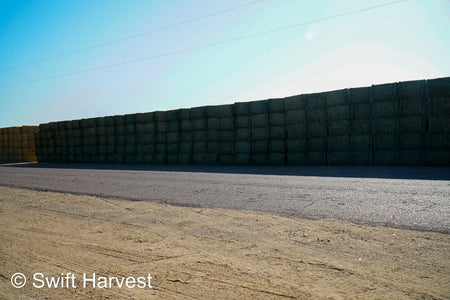 Martinez Farms Big Bale Alfalfa 27-5 Auction AZ Fair/Good  AZ Alfalfa Big Bales CP 20 RFV 144 TDN 57 FACS 98/110