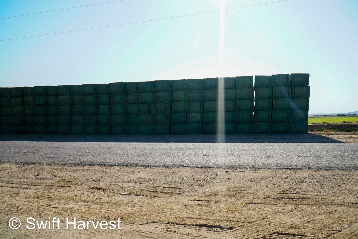 Martinez Farms Big Bale Alfalfa 27-5 Auction AZ Fair/Good  AZ Alfalfa Big Bales CP 20 RFV 144 TDN 57 FACS 98/110