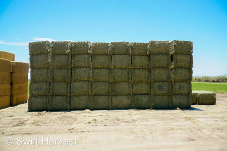 Martinez Farms Big Bale Alfalfa 31-4 Auction Supreme / Premium Alfalfa Test Hay Big Bales  CP 21 RFV 207 TDN 62 FACS 93/110