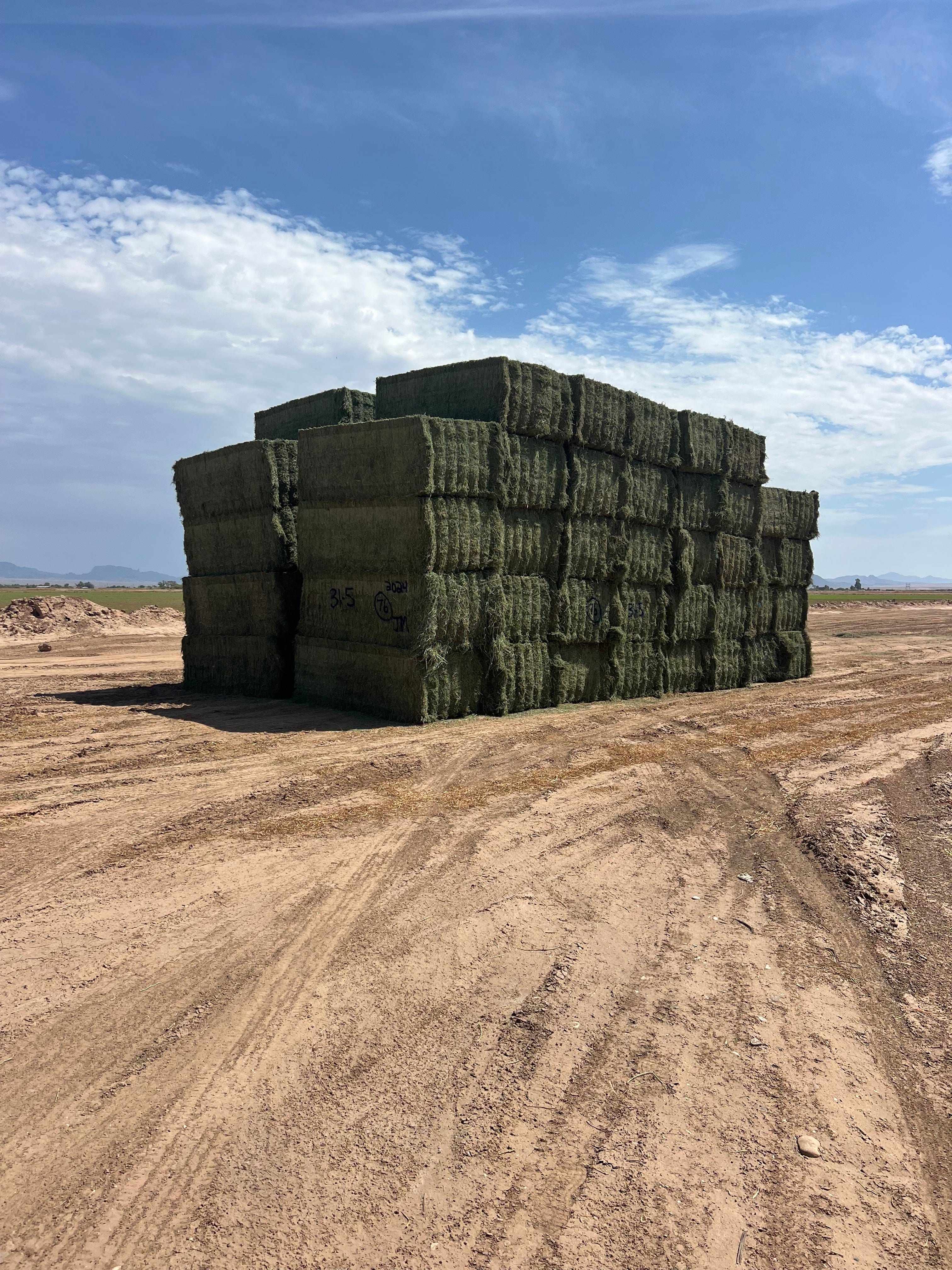 Martinez Farms Big Bale Alfalfa 31-5 Auction AZ Utility Big Bales Alfalfa CP 14 RFV 78 TDN 50 FACS 92/110