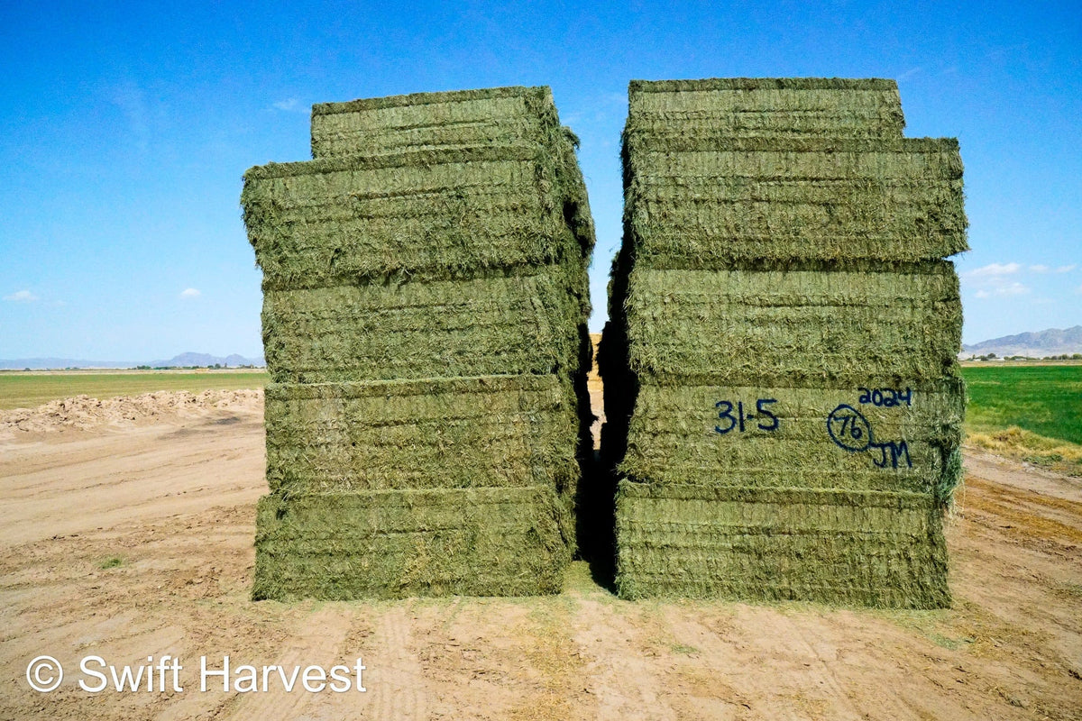 Martinez Farms Big Bale Alfalfa 31-5 Auction AZ Utility Big Bales Alfalfa CP 14 RFV 78 TDN 50 FACS 92/110