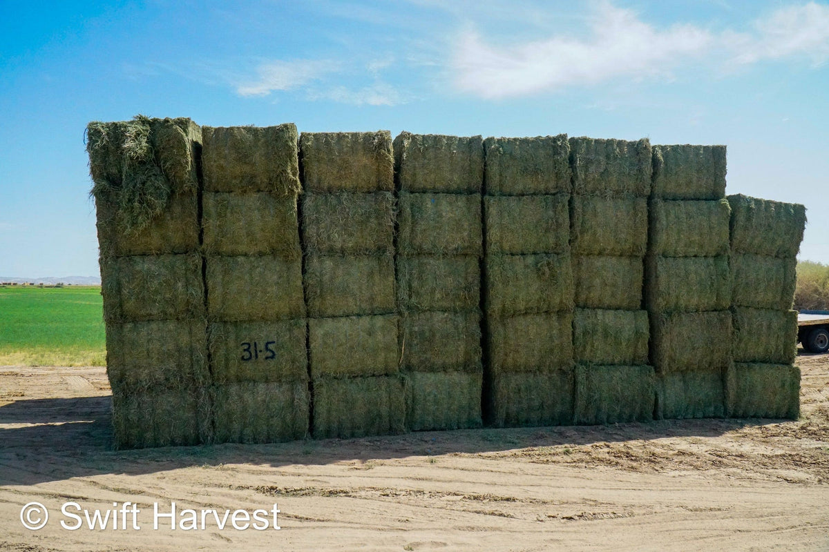 Martinez Farms Big Bale Alfalfa 31-5 Auction AZ Utility Big Bales Alfalfa CP 14 RFV 78 TDN 50 FACS 92/110