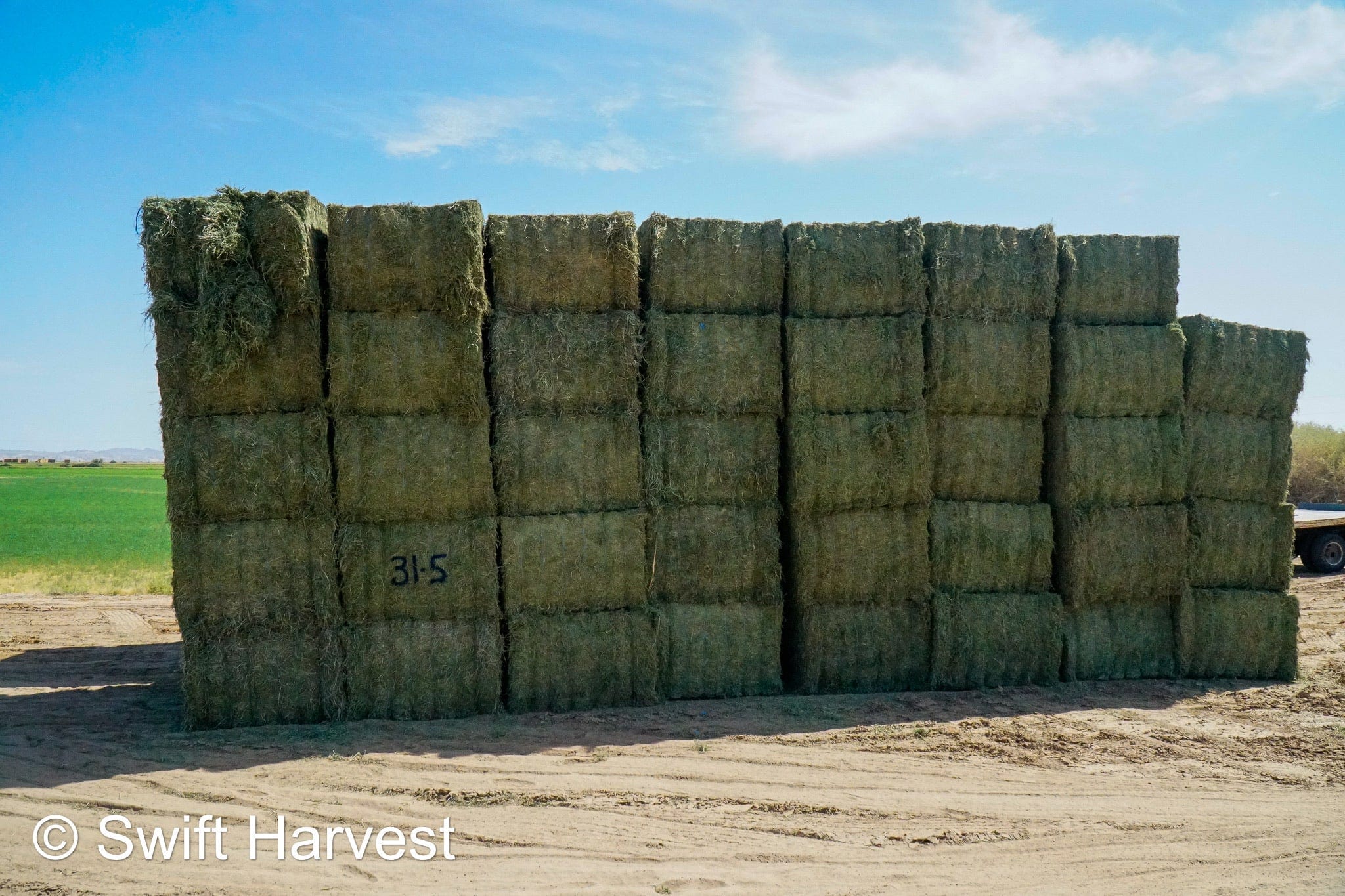 Martinez Farms Big Bale Alfalfa 31-5 Auction AZ Utility Big Bales Alfalfa CP 14 RFV 78 TDN 50 FACS 92/110