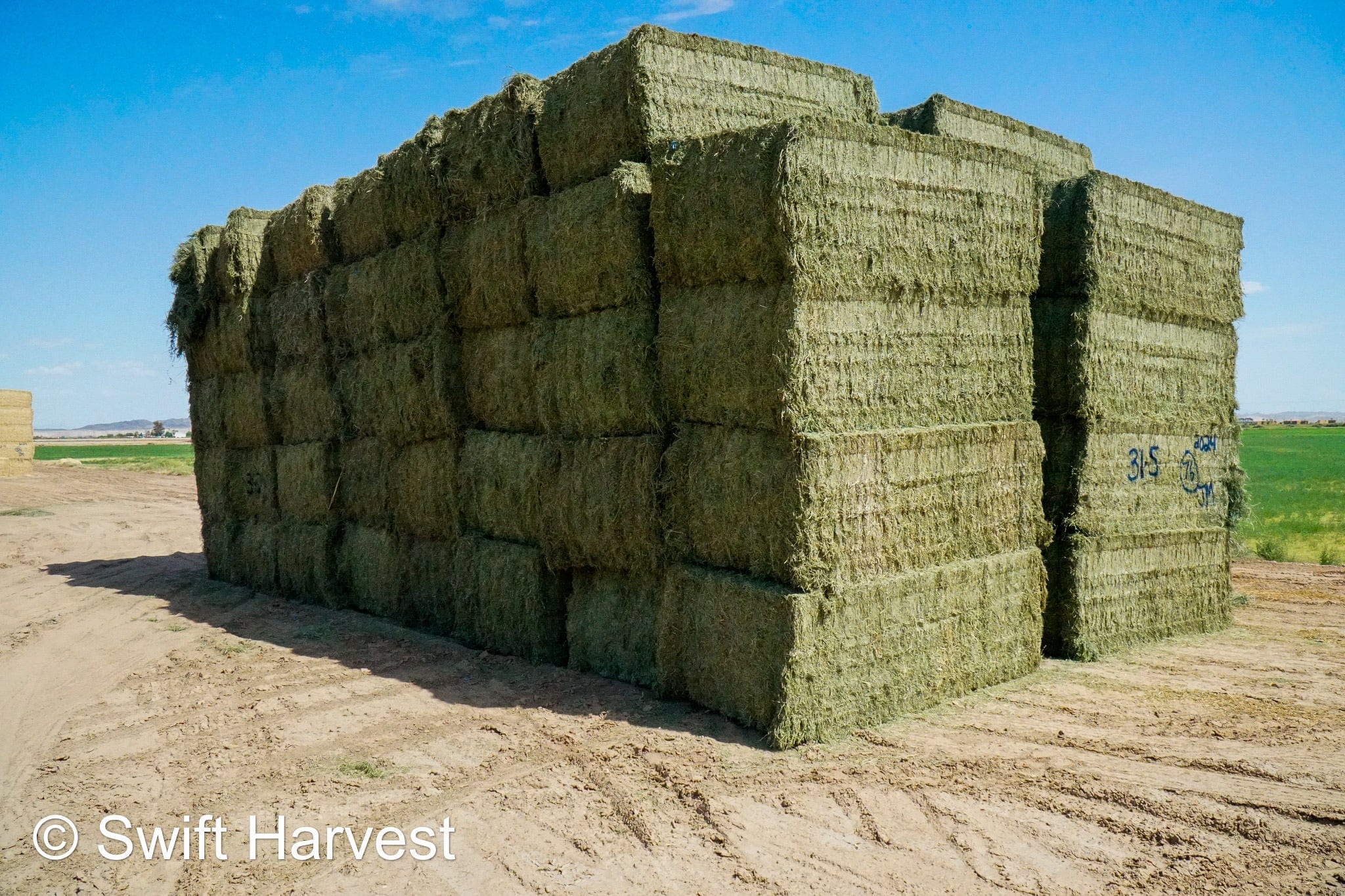 Martinez Farms Big Bale Alfalfa 31-5 Auction AZ Utility Big Bales Alfalfa CP 14 RFV 78 TDN 50 FACS 92/110