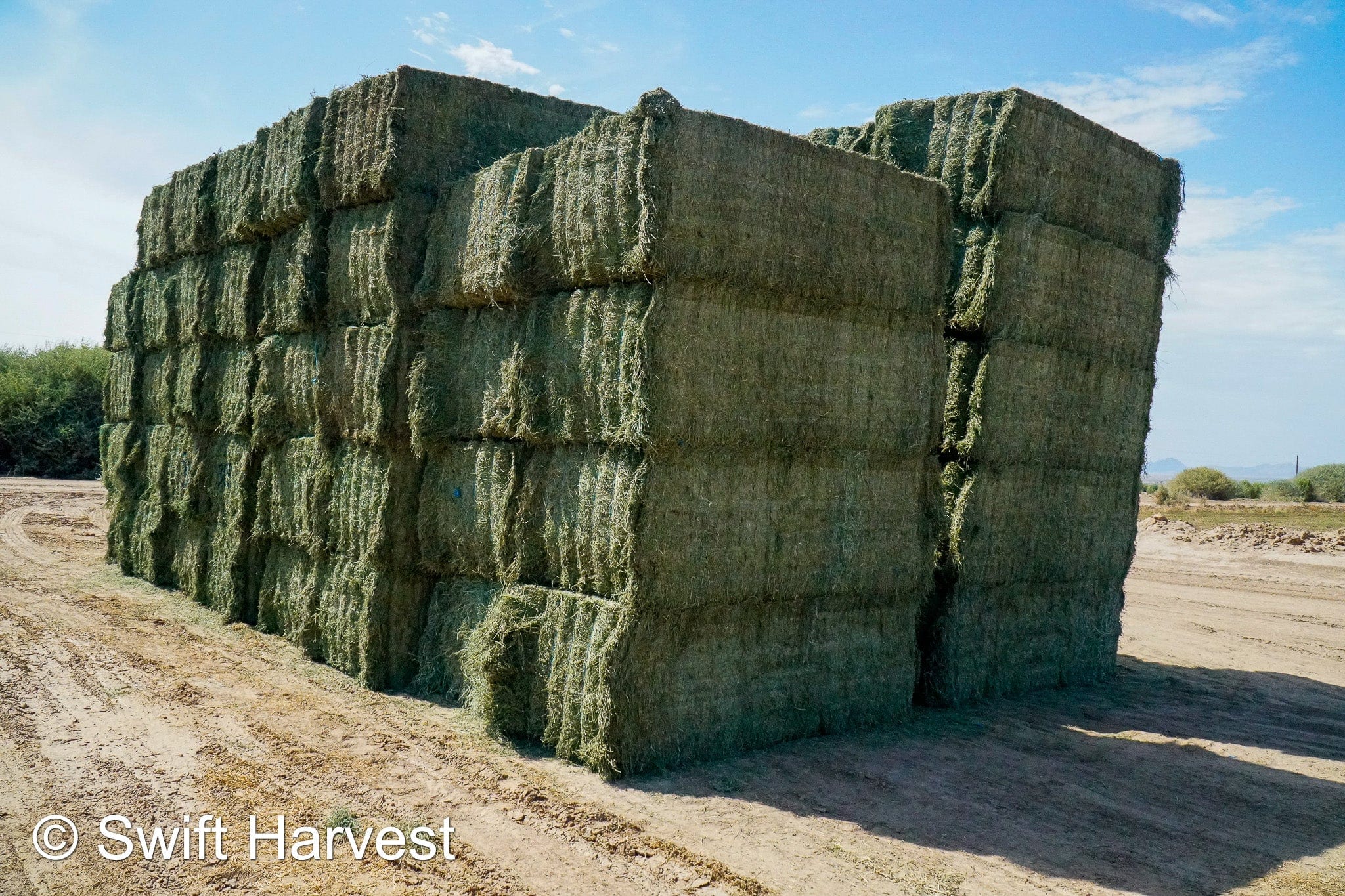 Martinez Farms Big Bale Alfalfa 31-5 Auction AZ Utility Big Bales Alfalfa CP 14 RFV 78 TDN 50 FACS 92/110