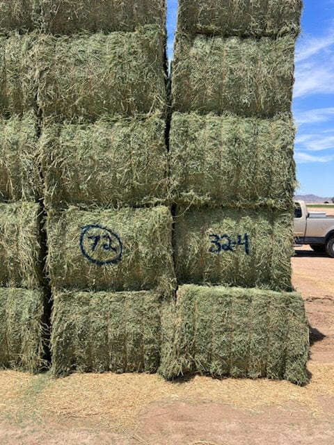 Martinez Farms Big Bale Alfalfa 32-4  Fair/Good Alfalfa Test Hay Big Bales CP 19 RFV 131 TDN 54 FACS 90/110